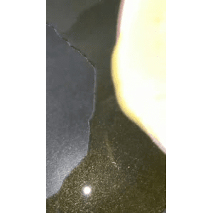 美食菜系做法5005