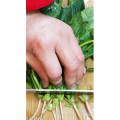 美食菜系做法5014