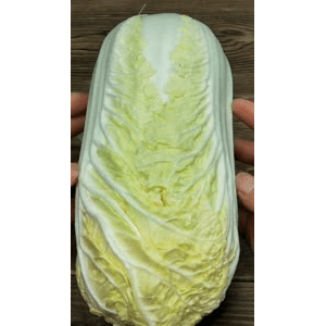 美食菜系做法5032