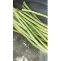 美食菜系做法5051