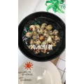 美食菜系做法5096