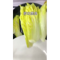 美食菜系做法5149