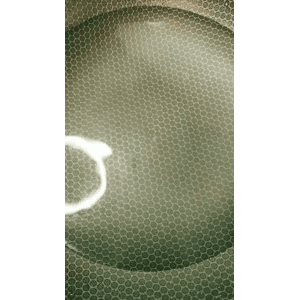 美食菜系做法5445