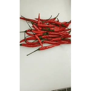 美食菜系做法5454