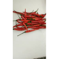 美食菜系做法5454