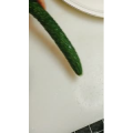 美食菜系做法5497