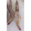 美食菜系做法5631