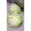 美食菜系做法5782