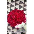 美食菜系做法6049