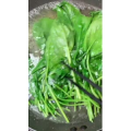 美食菜系做法6072
