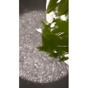 美食菜系做法6300