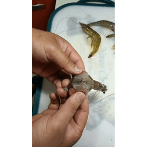 美食菜系做法6316