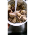 美食菜系做法6361