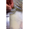 美食菜系做法6400