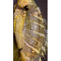美食菜系做法6515