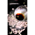 美食菜系做法6558