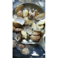 美食菜系做法6609