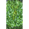 美食菜系做法6756
