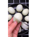 美食菜系做法6758