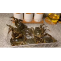美食菜系做法6976