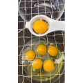 美食菜系做法7237