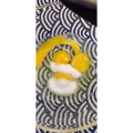 美食菜系做法7252
