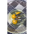 美食菜系做法7271