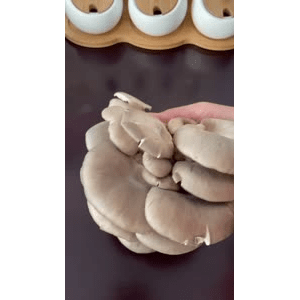 美食菜系做法7598