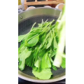 美食菜系做法7668