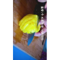 美食菜系做法7781