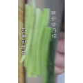 美食菜系做法7801