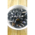 美食菜系做法7899