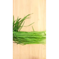 美食菜系做法8111