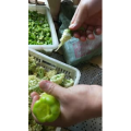 美食菜系做法8415