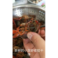 美食菜系做法8426