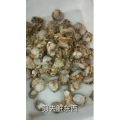 美食菜系做法8449