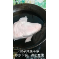美食菜系做法8458