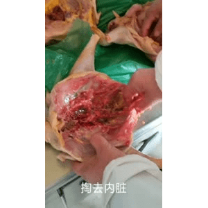美食菜系做法8469
