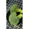 美食菜系做法8564