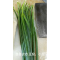 美食菜系做法8567