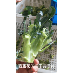 美食菜系做法8598