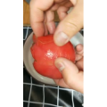 美食菜系做法8625