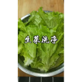 美食菜系做法8662