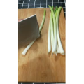 美食菜系做法8703