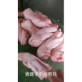 美食菜系做法8746