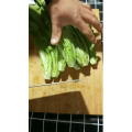 美食菜系做法8815