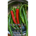 美食菜系做法8850