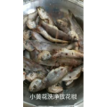 美食菜系做法8965
