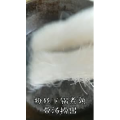 美食菜系做法8996