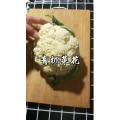 美食菜系做法8999